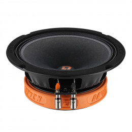 DL Audio Raven 165 (16см RMS-110Вт/4Ом)